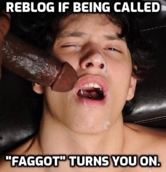 Greg Webster tweet media