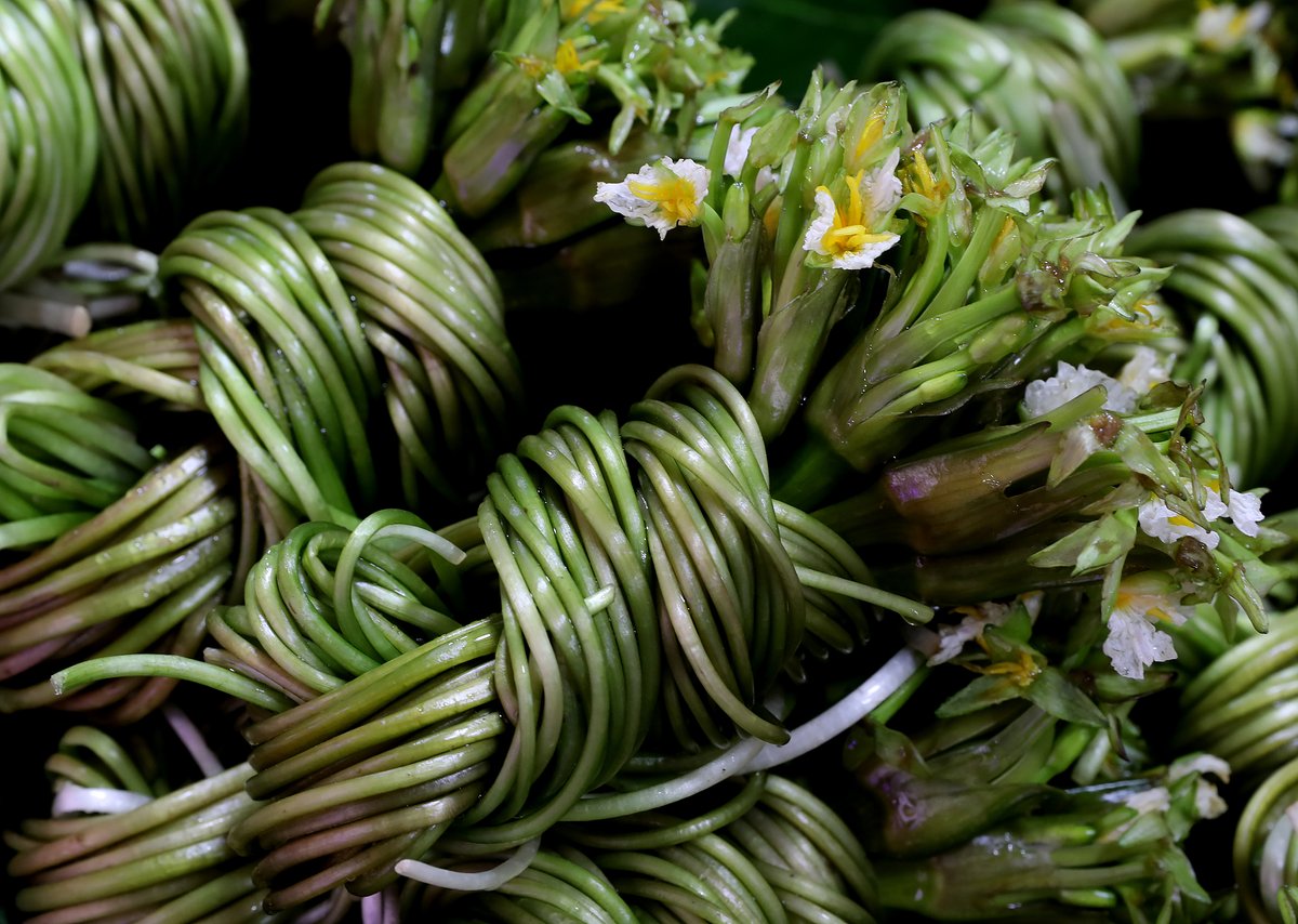 China Daily tweet media