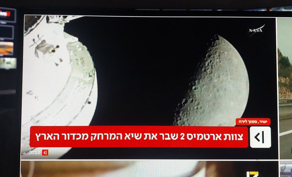 טל-אור מאירסון tweet media