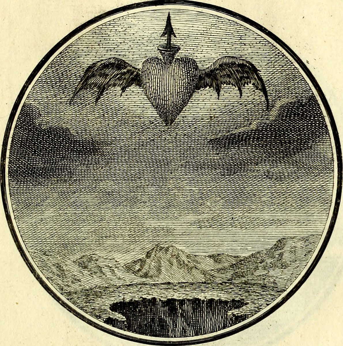 Mistici Sentieri tweet media