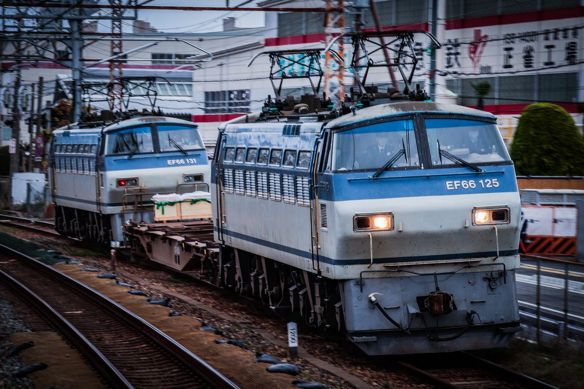 電車の顔 tweet media