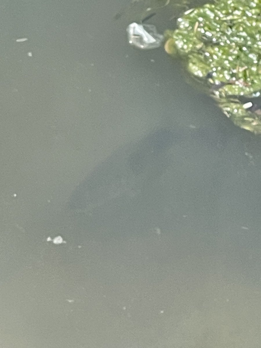 ライコネン a.k.a ROUTE404 tweet media