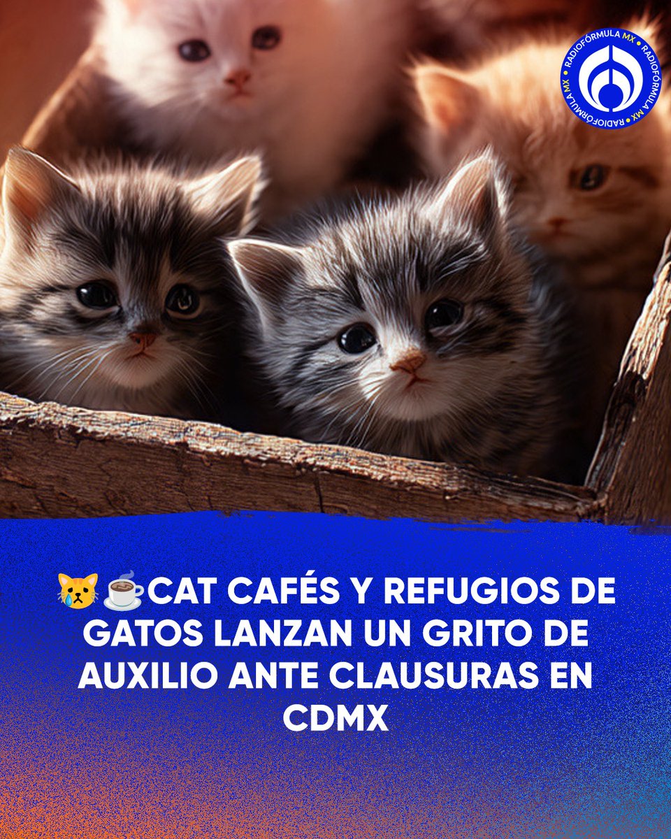 Grupo Fórmula tweet media