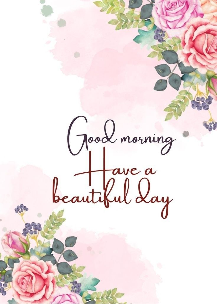 Sawan 🇮🇳 tweet media