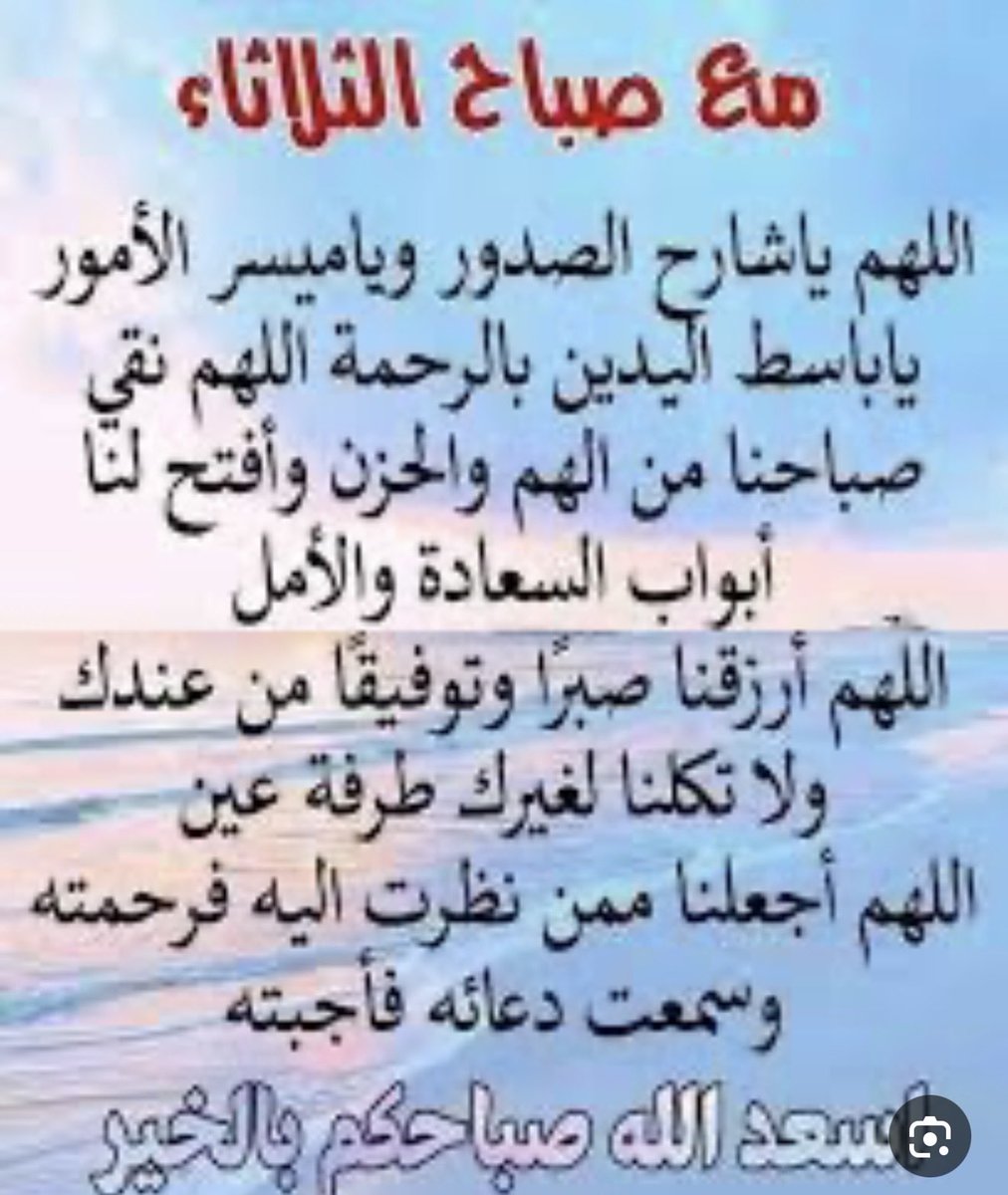 سهيل الجنوبي 🇶🇦 tweet media