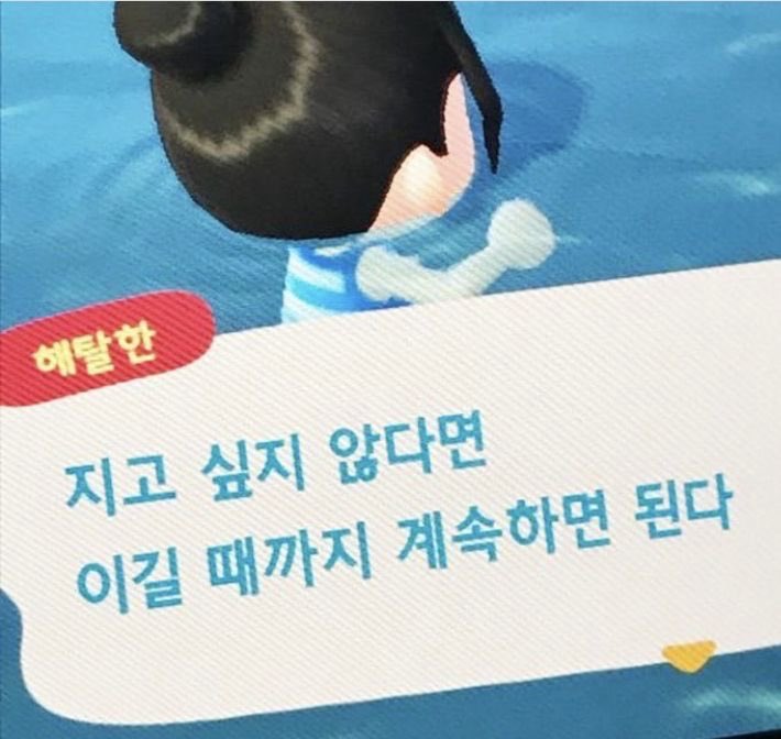 감자 tweet media