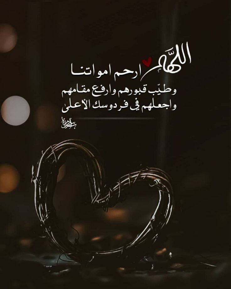 VelvetRain10's tweet photo. #طَيَّبَ_اللهُ_البقاء_عَمَّرَ_اللهُ_الْأَثَر
#اللهم_آمين https://t.co/Enrp7MTQaN