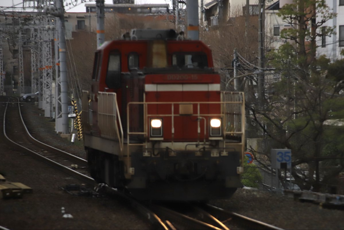 西のカモレ tweet media