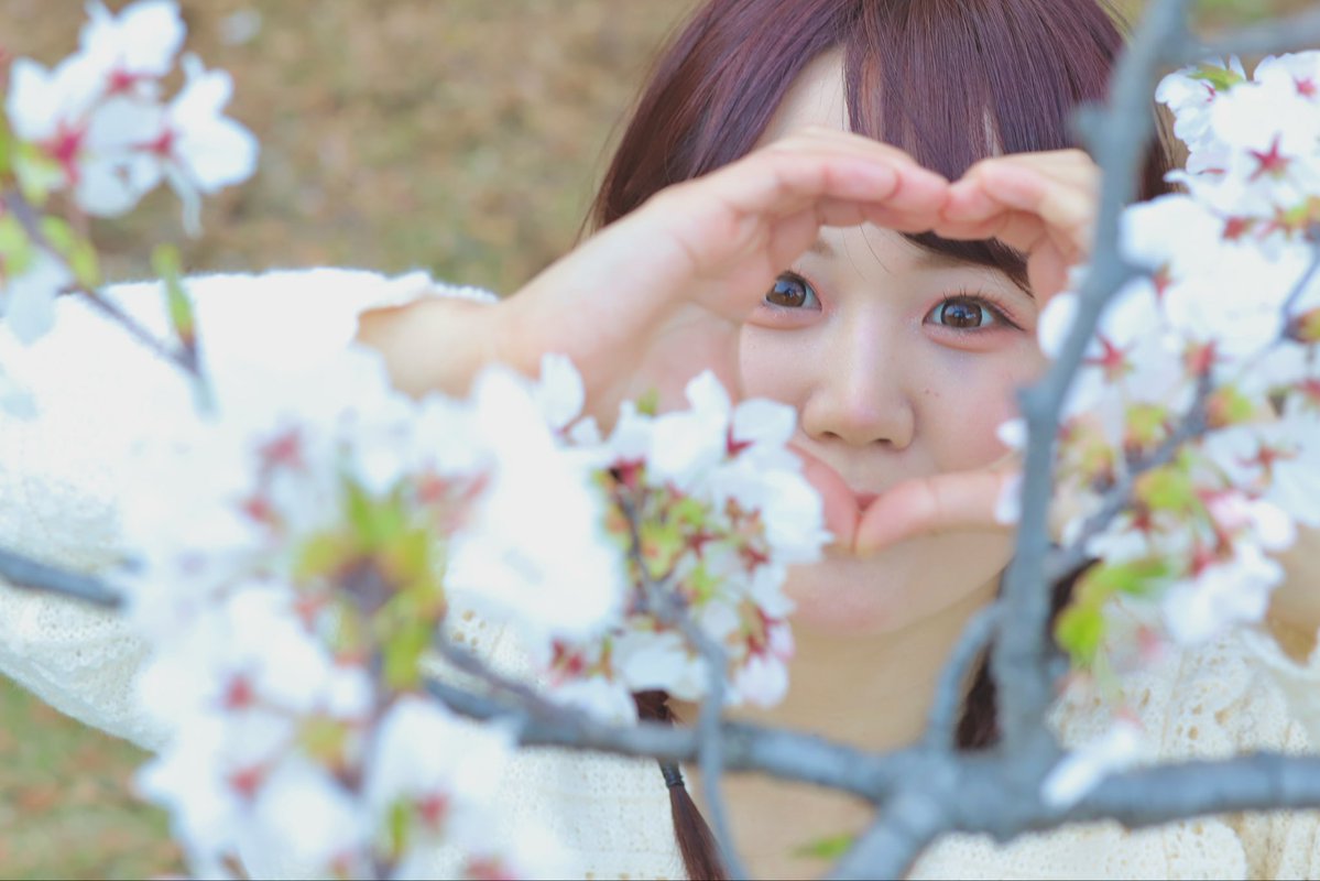 叶 ミク/ miku kanae tweet media