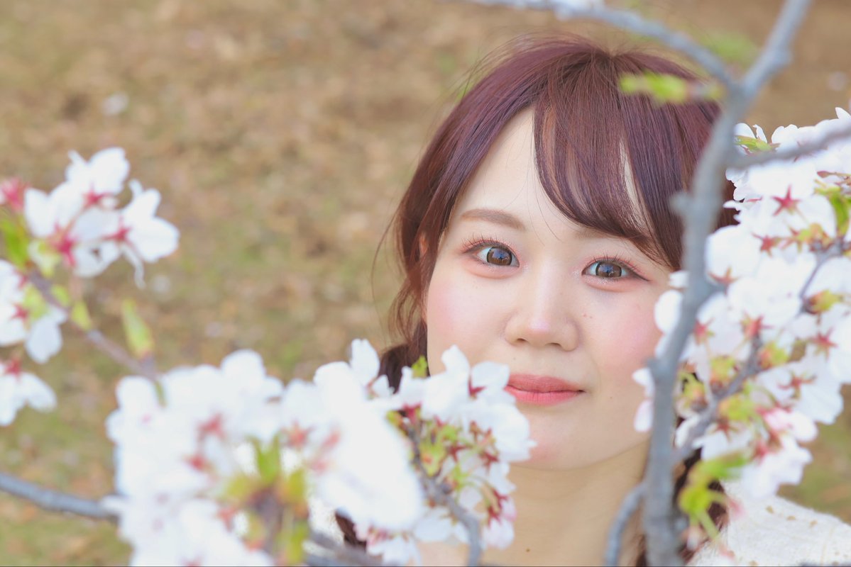 叶 ミク/ miku kanae tweet media