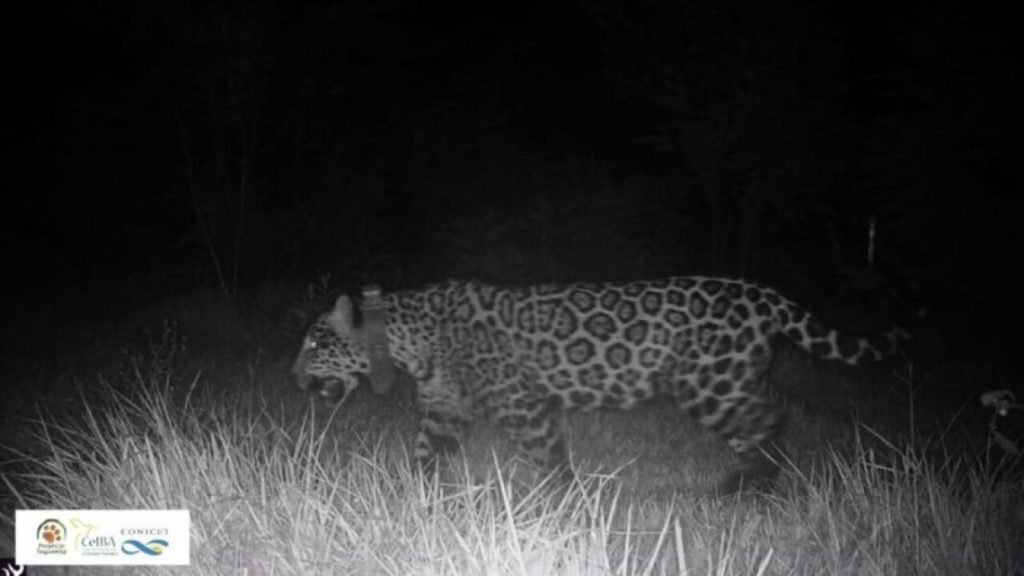 Observa 360 tweet media