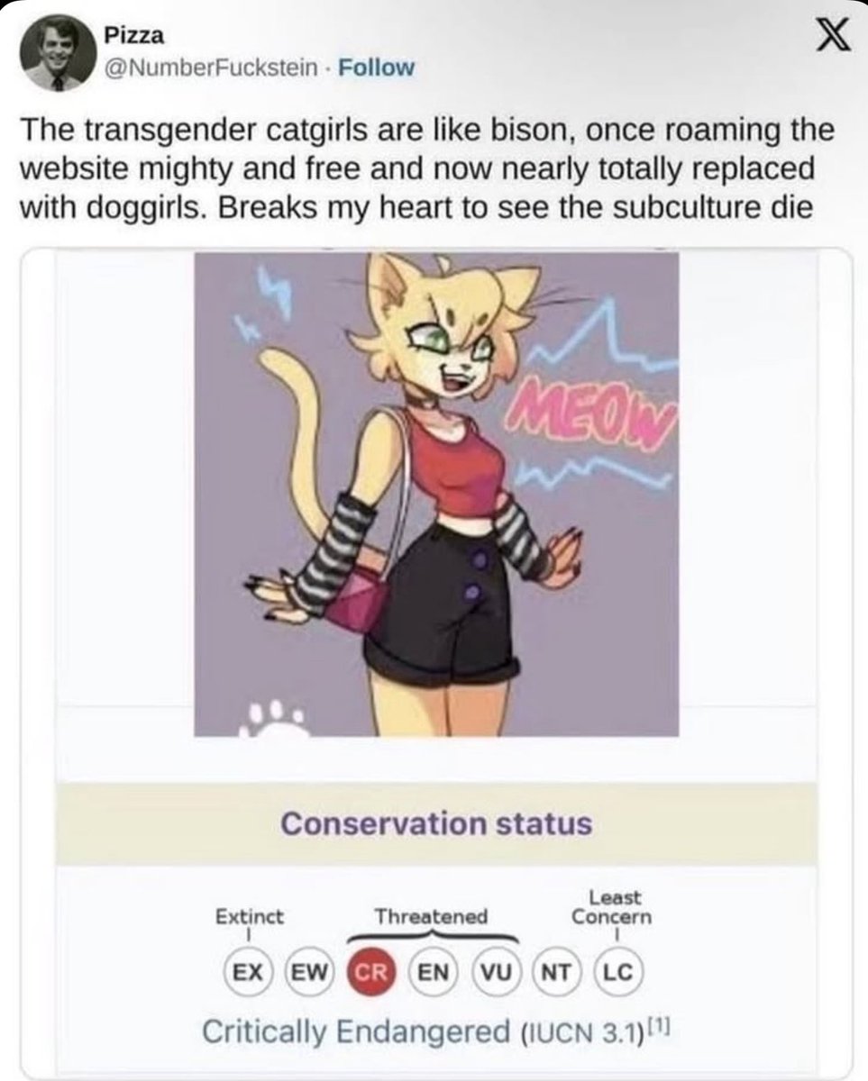 Kina🐈‍⬛🪄 tweet media