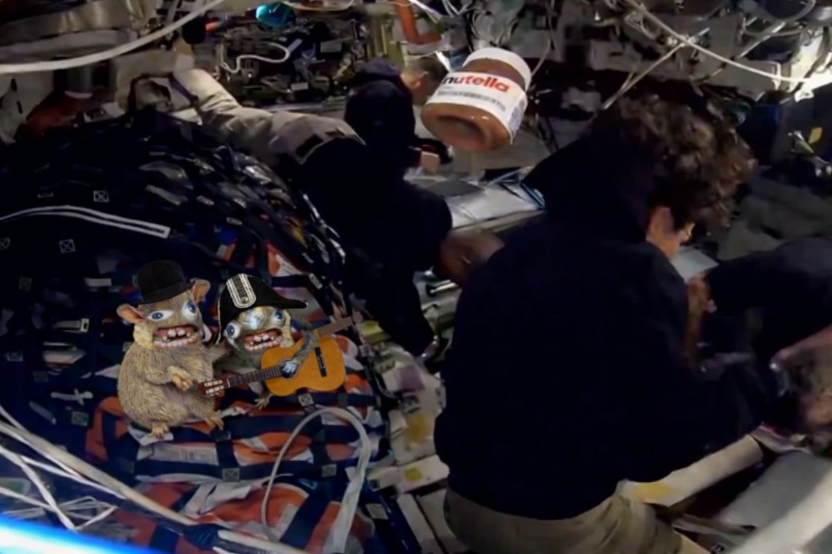 Sₚₒₙgₘₒₙₖₑyₛ tweet media