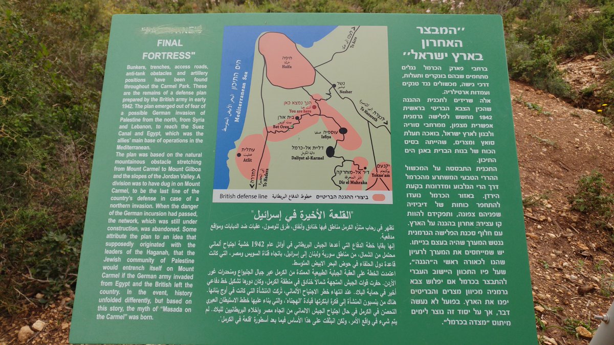 (((PatrickMtz))) 🇮🇱🇫🇮🇮🇹 tweet media