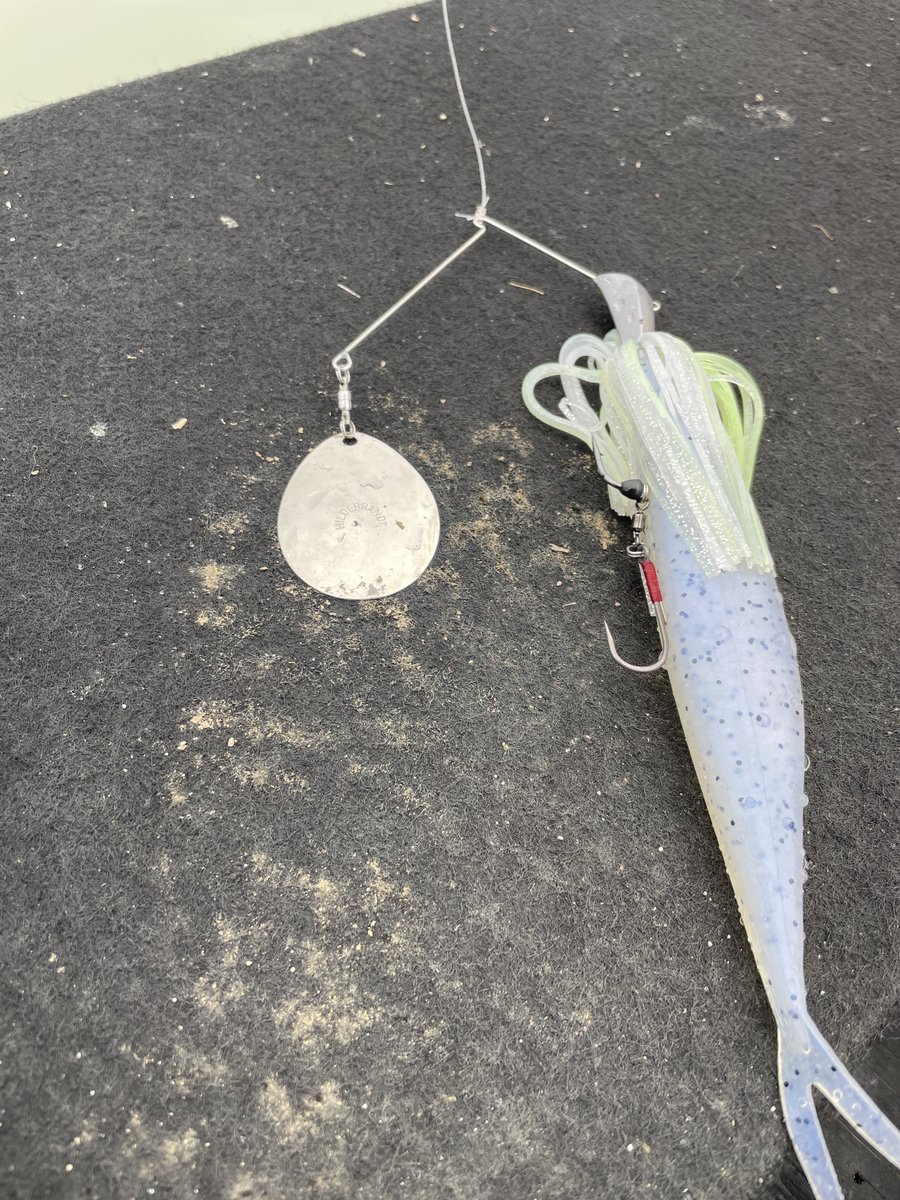 ちかちゃん tweet media