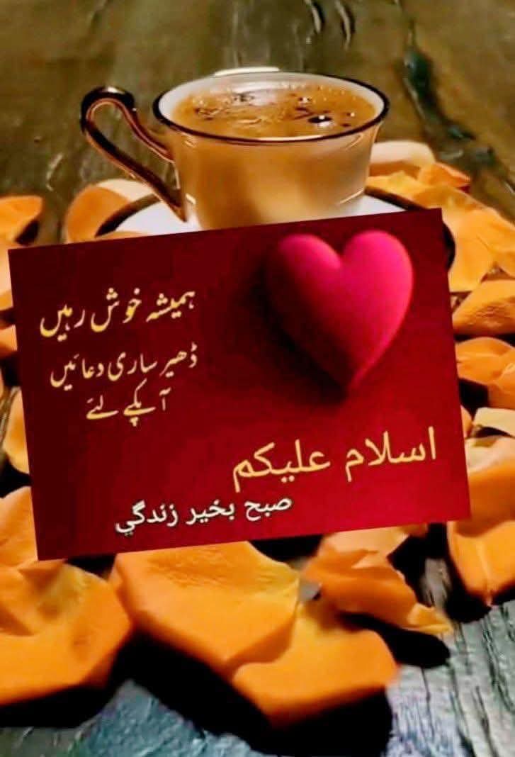 Abid Dhariwal tweet media