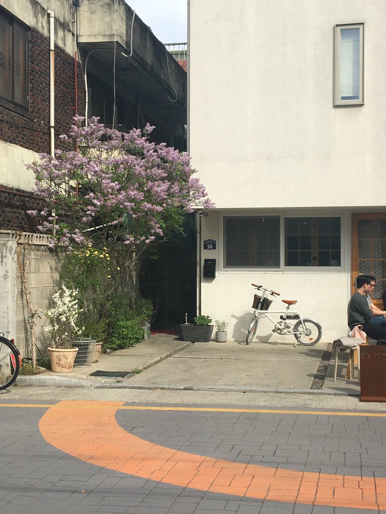 먼지.. tweet media