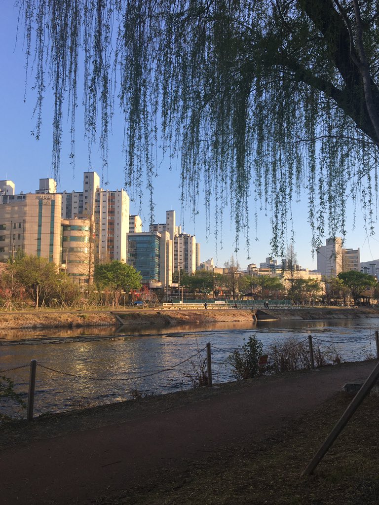 먼지.. tweet media