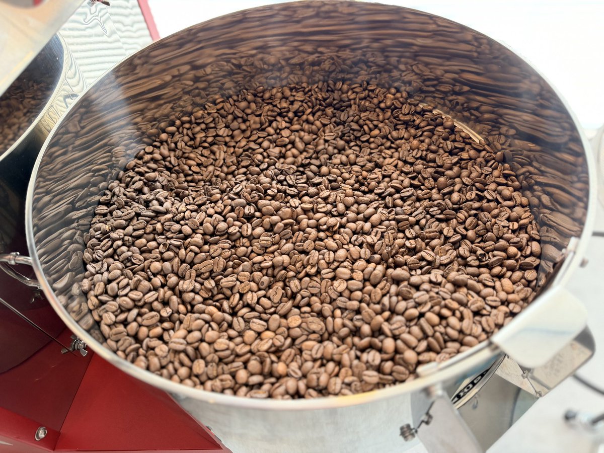 roca_Village's tweet photo. 今朝は２種計3kg
◆当方看板ブレンド（city roast）
◆タンザニアAA SnowTop（high roast）
焼けました🫘
#その人の美味しいが正解 https://t.co/9kBPSJ3sdU