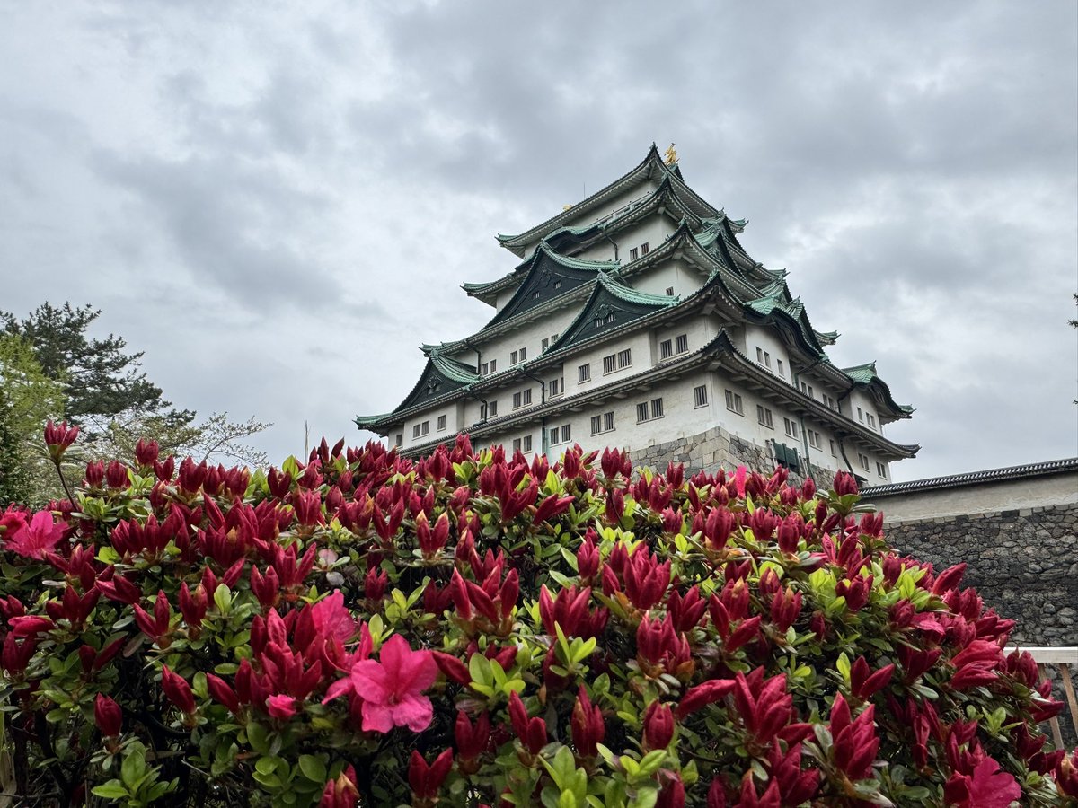 ars_magSn's tweet photo. 殿の城🏯 https://t.co/MJ1kij4XAC