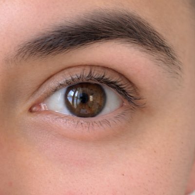 ghazal 🦌 tweet media