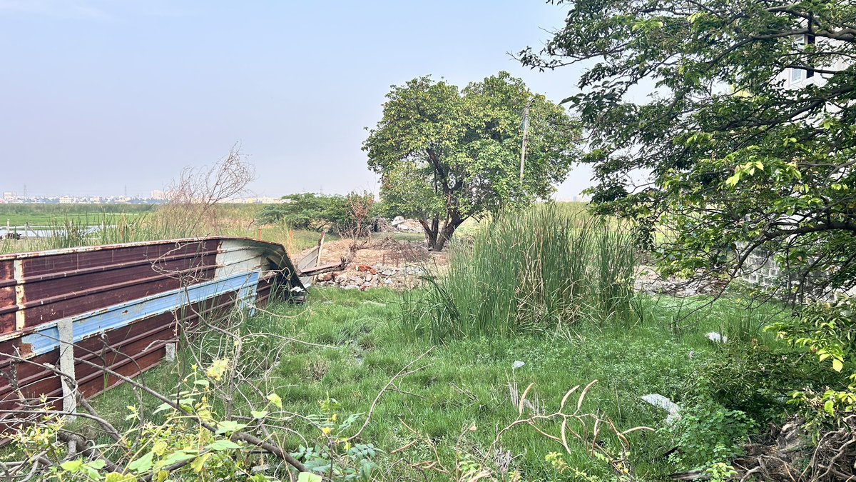 The_solorider's tweet photo. @omjasvinMD @THChennai @chennaicorp @tnforestdept 
Enrochments going on at pallikarani behind vpg avenue. Where forest department already demolished illegal enrochment   2 years ago. https://t.co/u8y6ifP39q