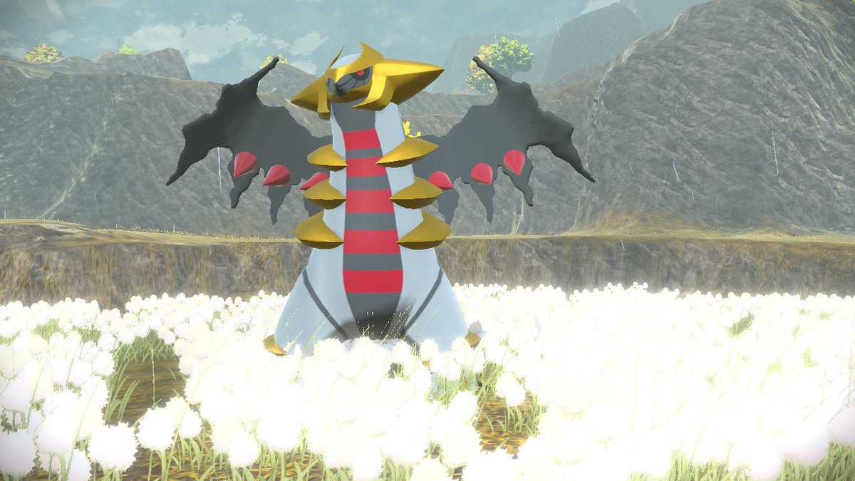 Casper!!🍓 tweet media