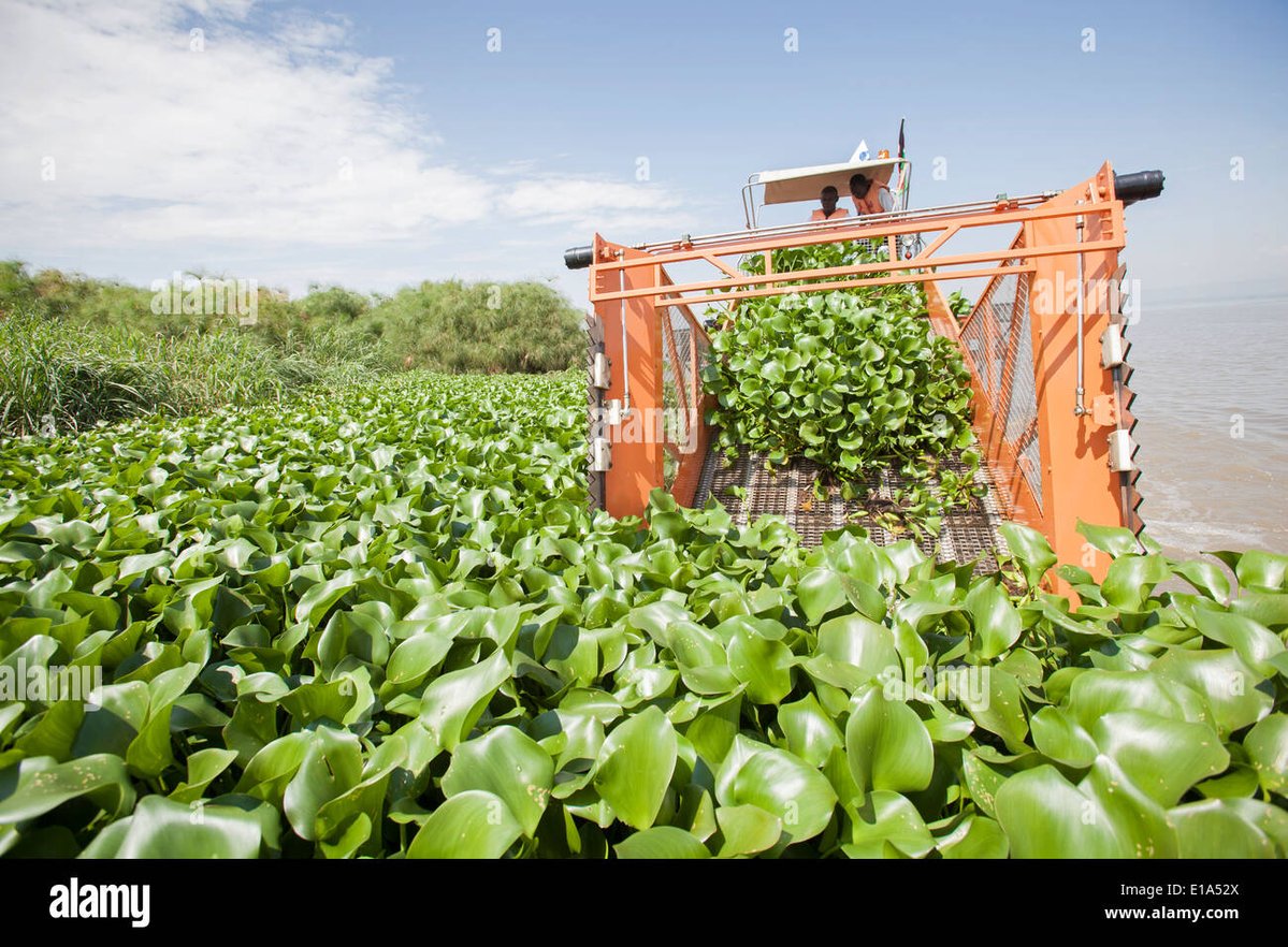 Dbcooper™ tweet media