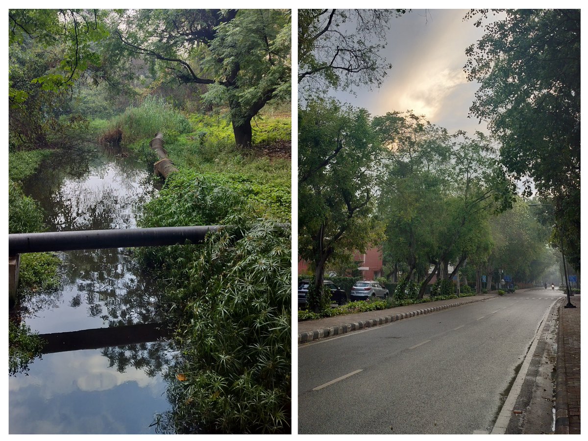 Varsha Singh tweet media