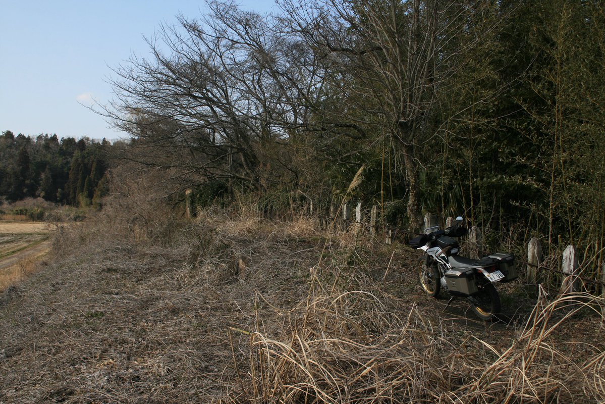 はまち tweet media