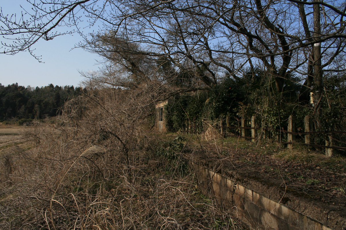 はまち tweet media