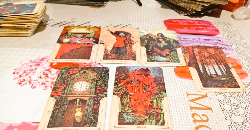 Cartomante Ally da Padilha Agenda Aberta tweet media