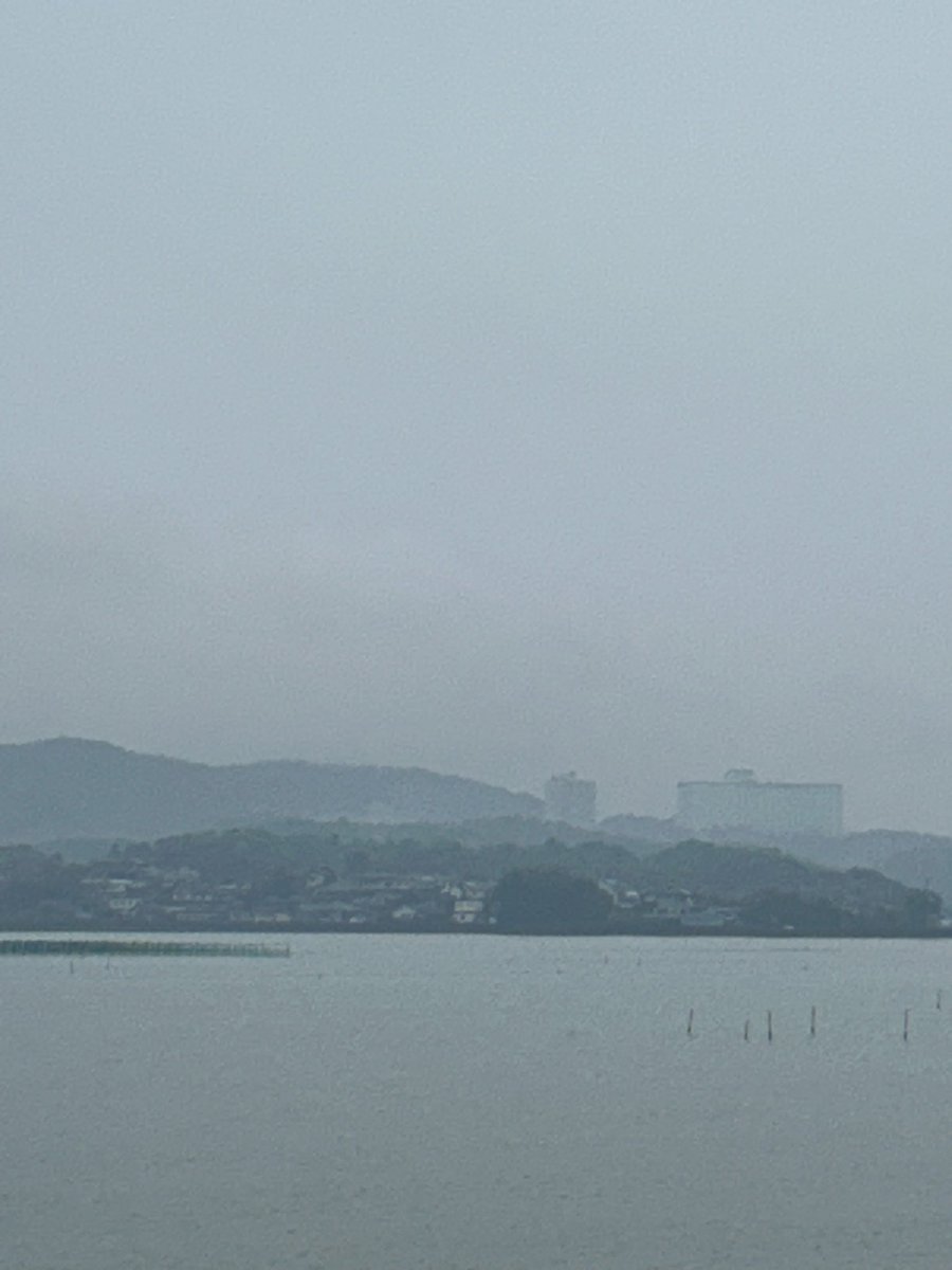 ひろぼん tweet media