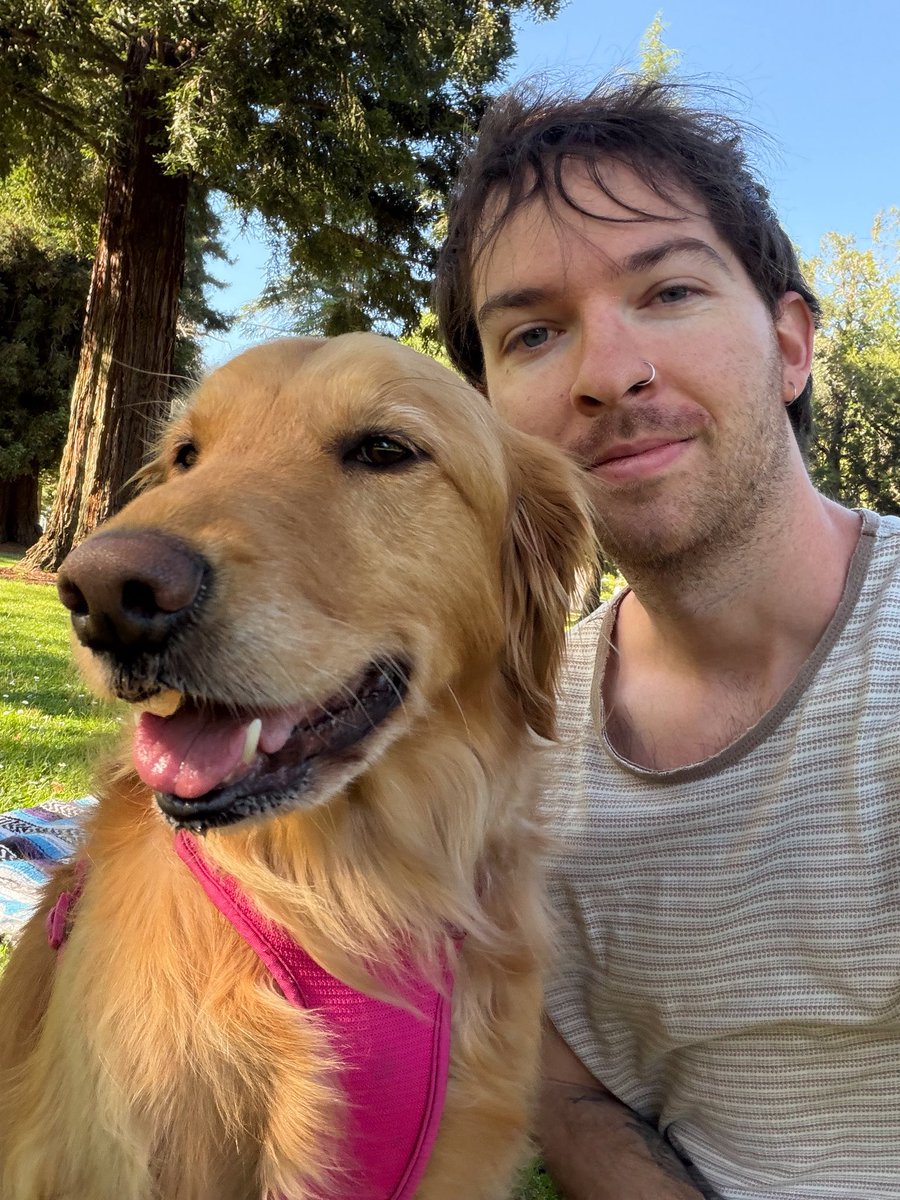 zachary tweet media