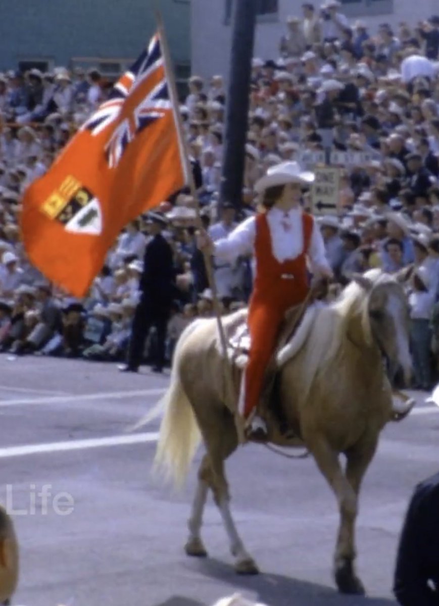 Freedom Loving Loyalist tweet media