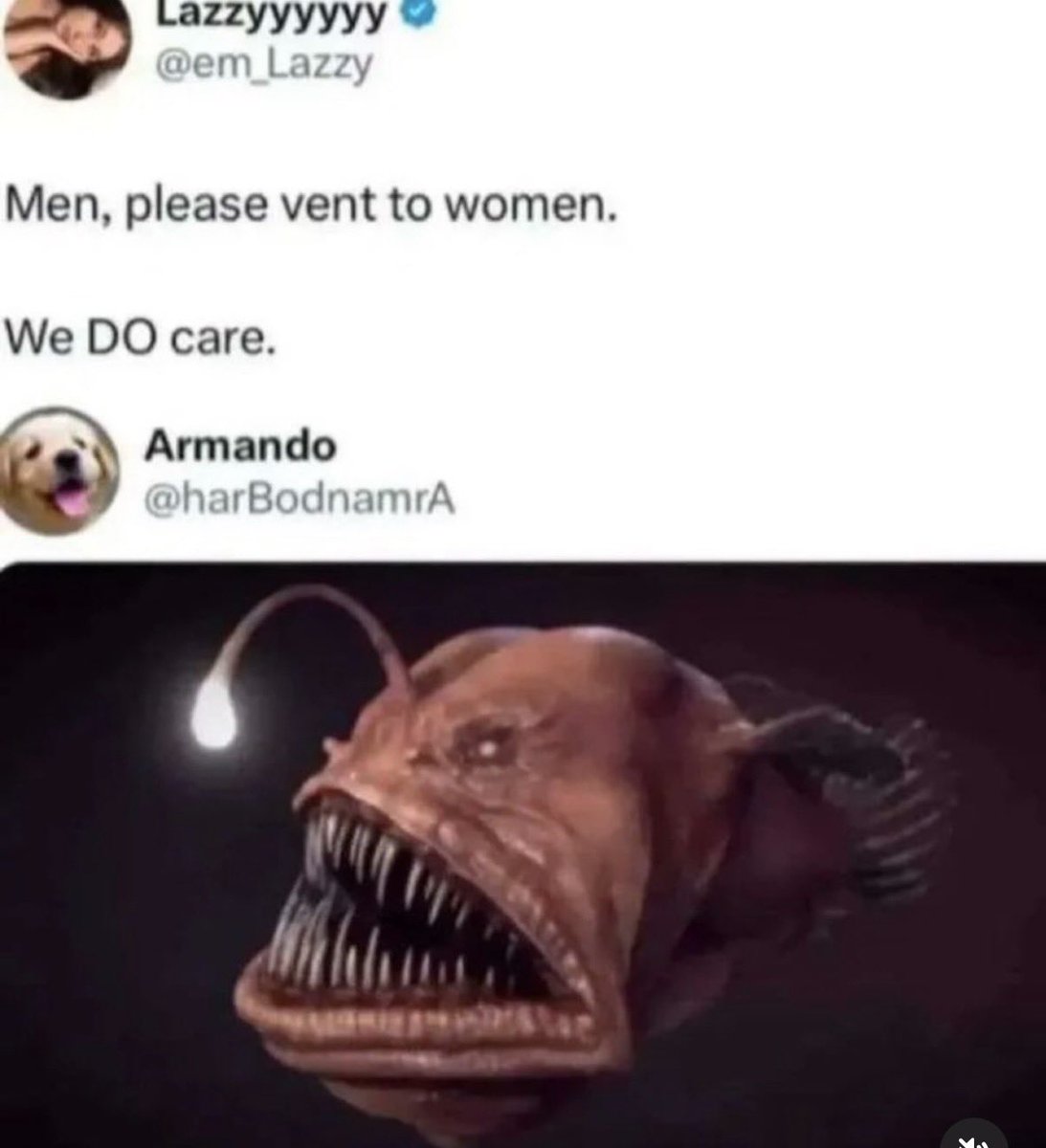 Bobby Dazzler tweet media