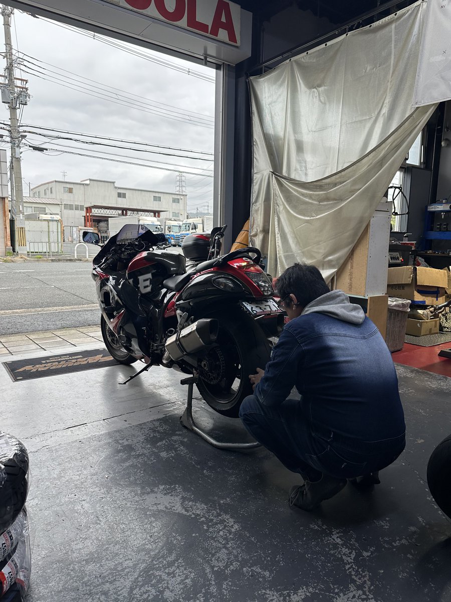 ぐりん 🌞 Hayabu～sa tweet media