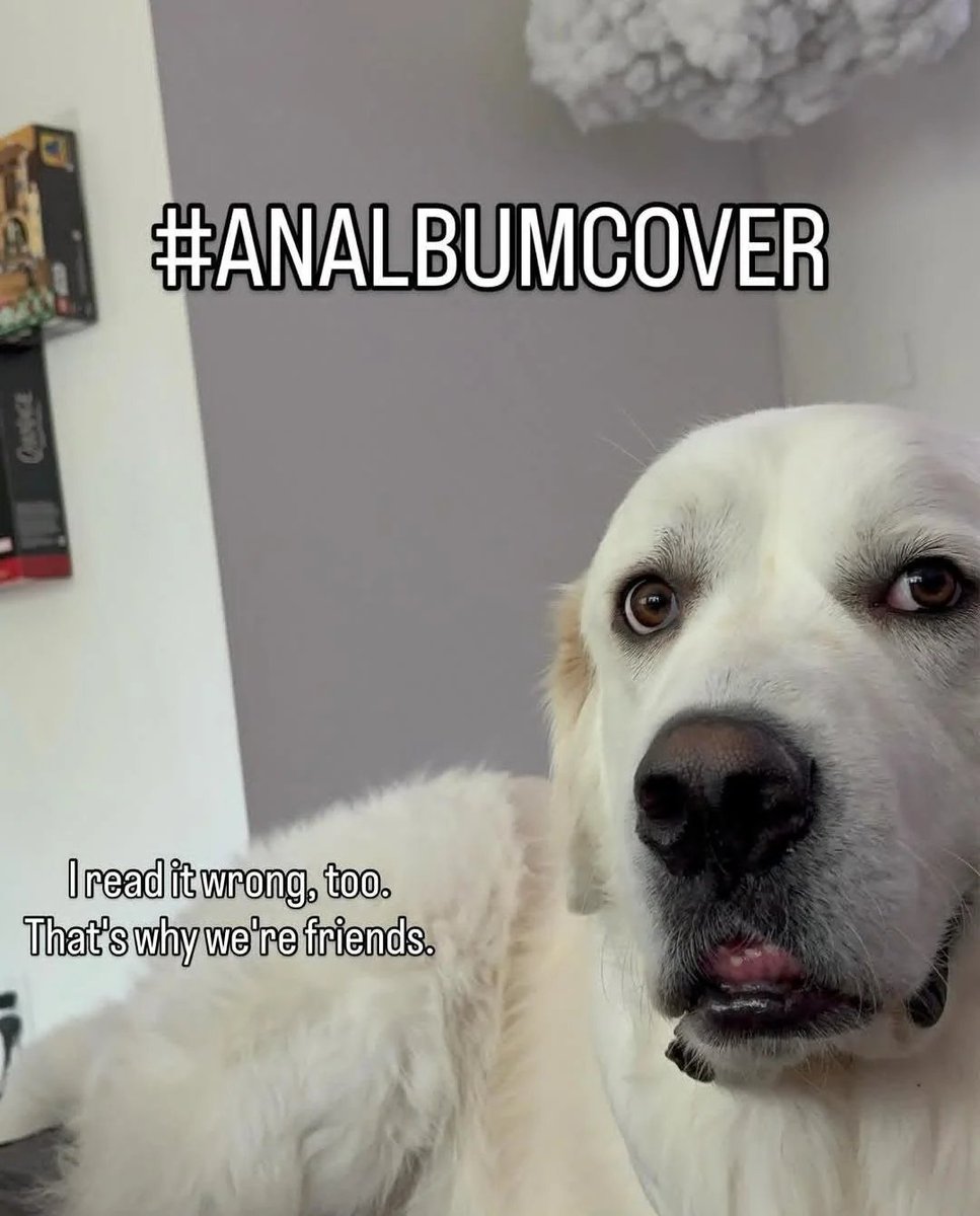 Programmer Humor tweet media