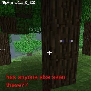 Enderman tweet media