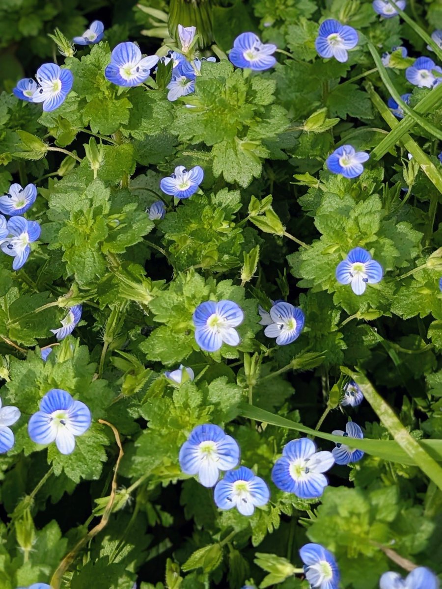 7hitoshi tweet media