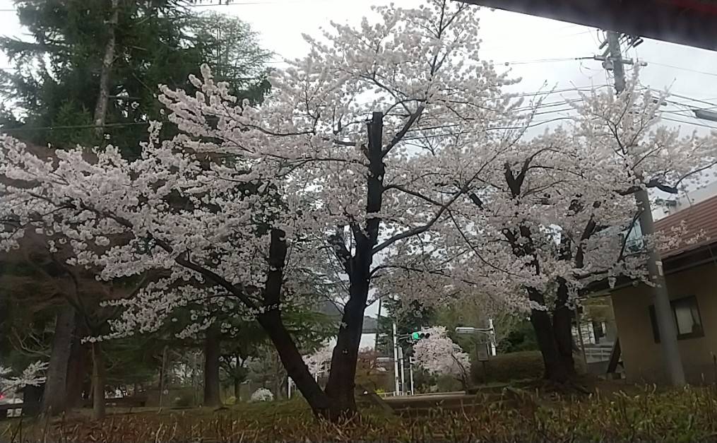 喫茶メロン（長野） tweet media