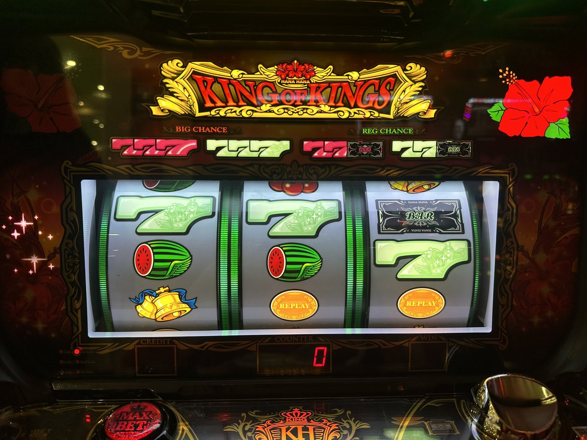 濱本 咲良 tweet media