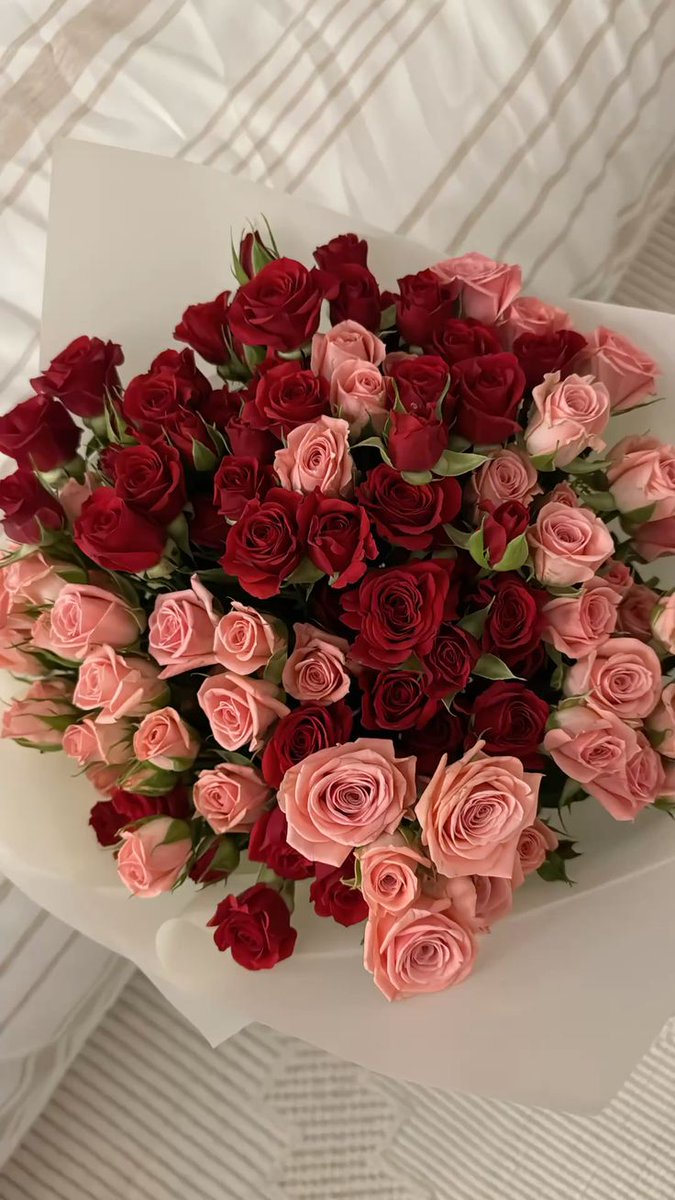 ام عبدالعزيز 💛 💙 🇸🇦 ((بغلفيه )) tweet media