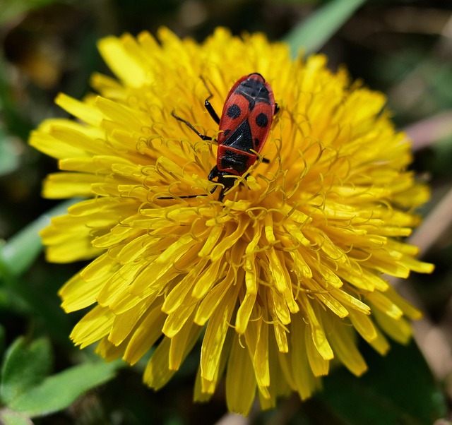 Katrina Santiago tweet media