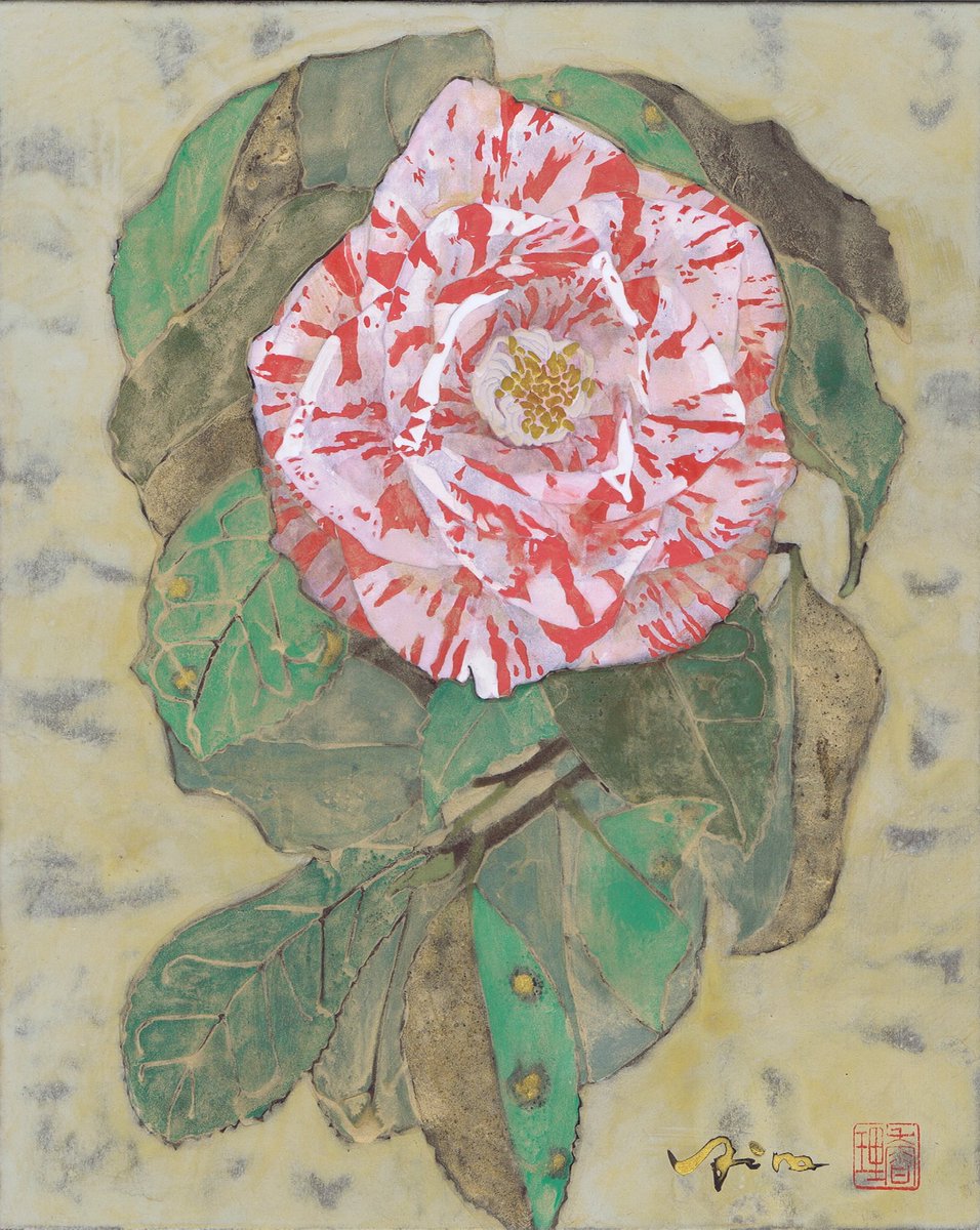 Kaori SOMEYA | 染谷香理 tweet media