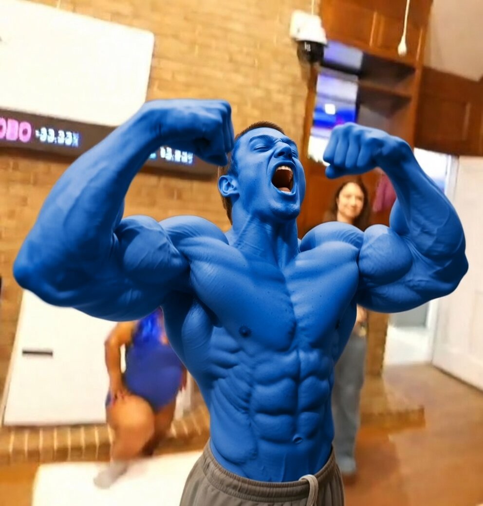 "I'LL FUCKING MAIM YOU" -BULK 

#fishtanklive #fishtankdotlive