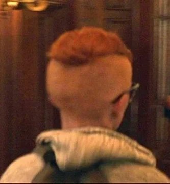 Secure in Carapace tweet media