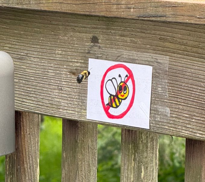 🌧️🐛io tweet media