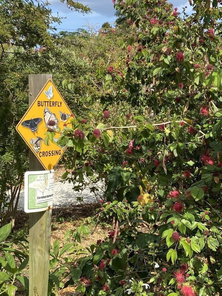 indigo ₊˚♡ tweet media