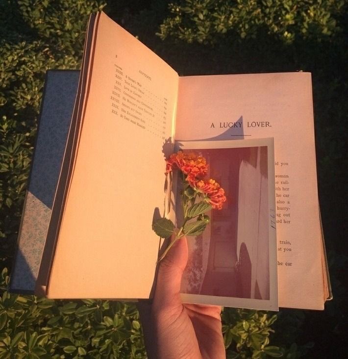 indigo ₊˚♡ tweet media